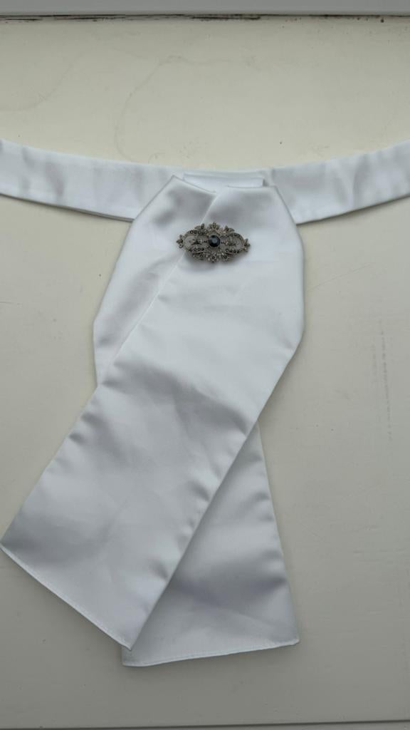 Plastron met speld, Dressuur, Ophalen of Verzenden, Zo goed als nieuw, Dames