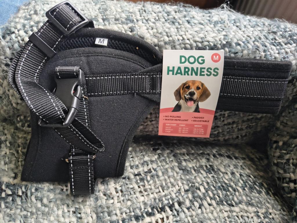 Honden tuig maat m, Ophalen of Verzenden, Nieuw