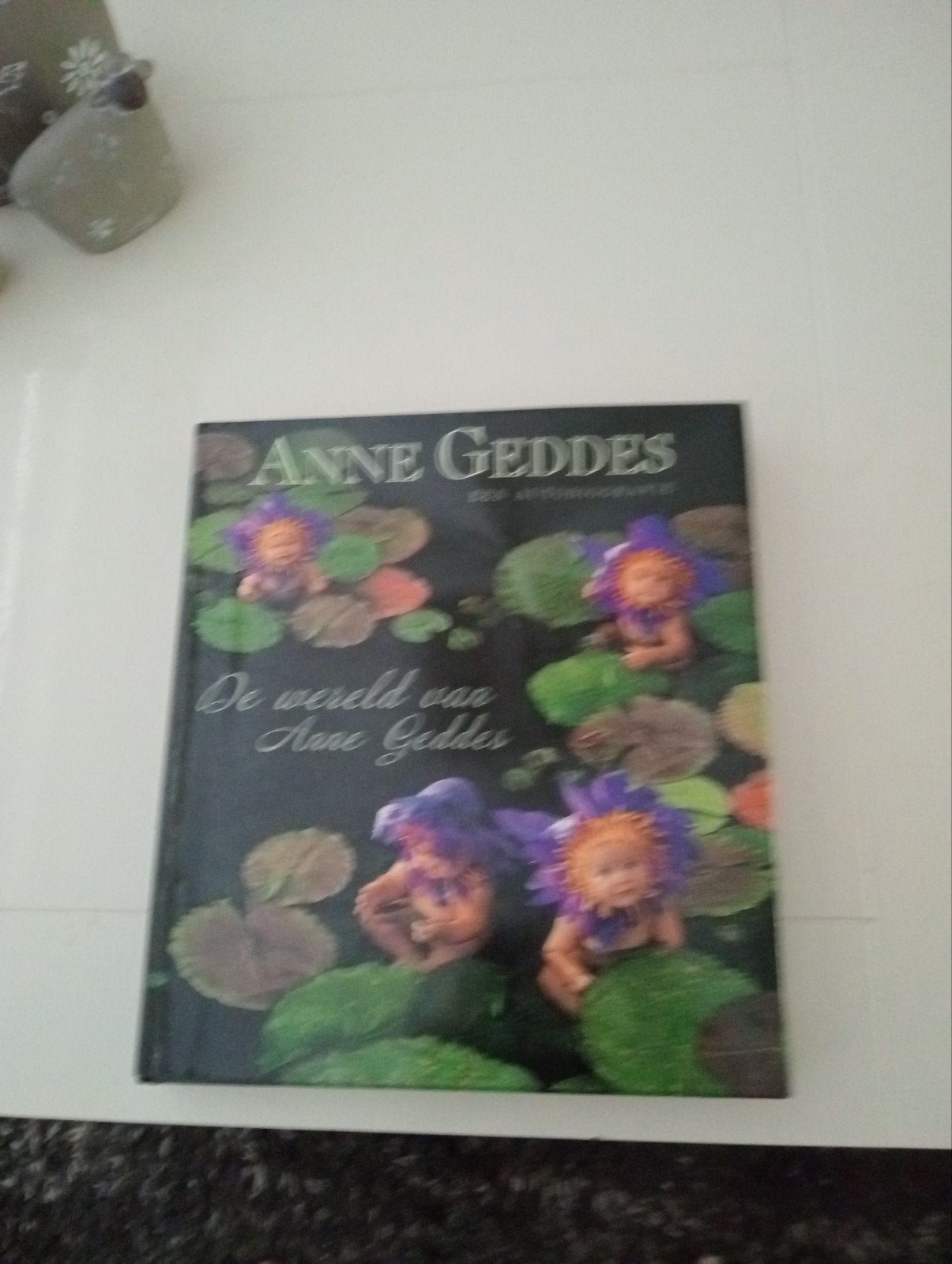 De wereld van Anne Geddes - Fotoboek, Ophalen of Verzenden, Zo goed als nieuw, Fotografie algemeen, Anne Geddes