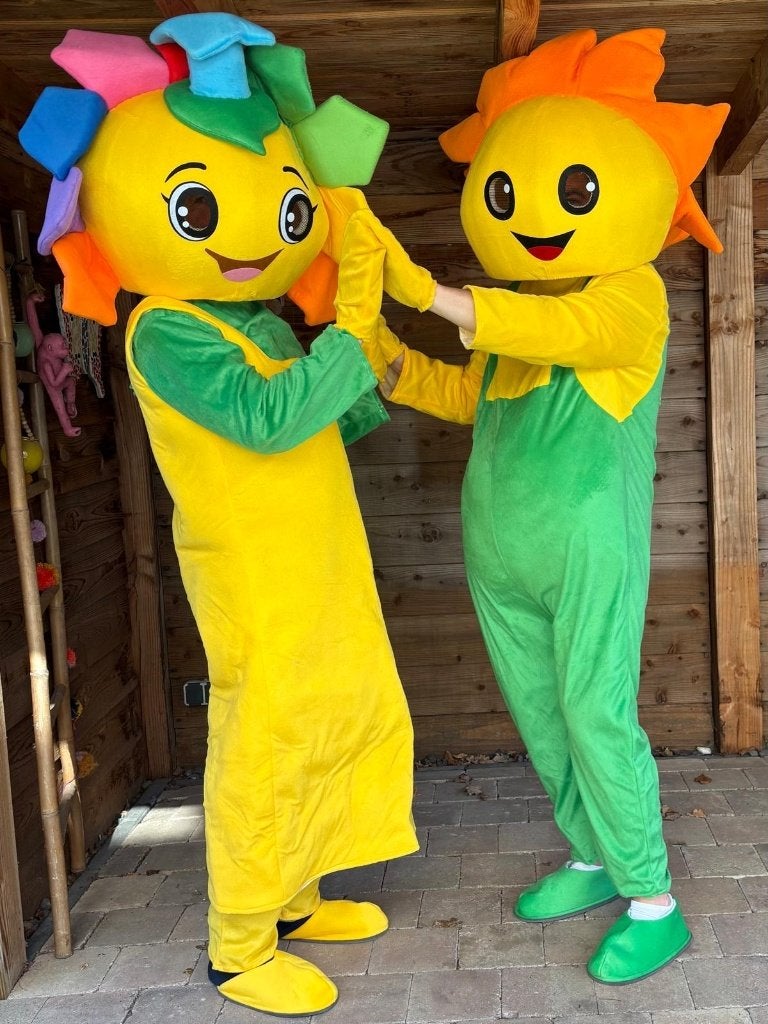 Leuke figuren op je feestje, bij ons kostuums v a 15 per dag, Ophalen of Verzenden, Zo goed als nieuw, Overige
