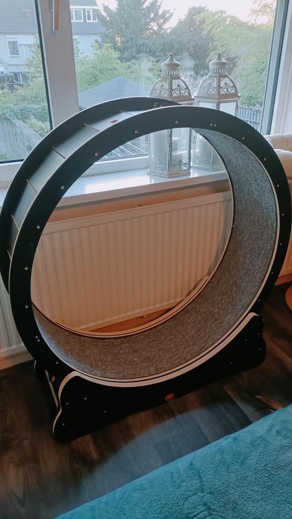 Katten loopwiel, Ophalen, Zo goed als nieuw, Overig speelgoed