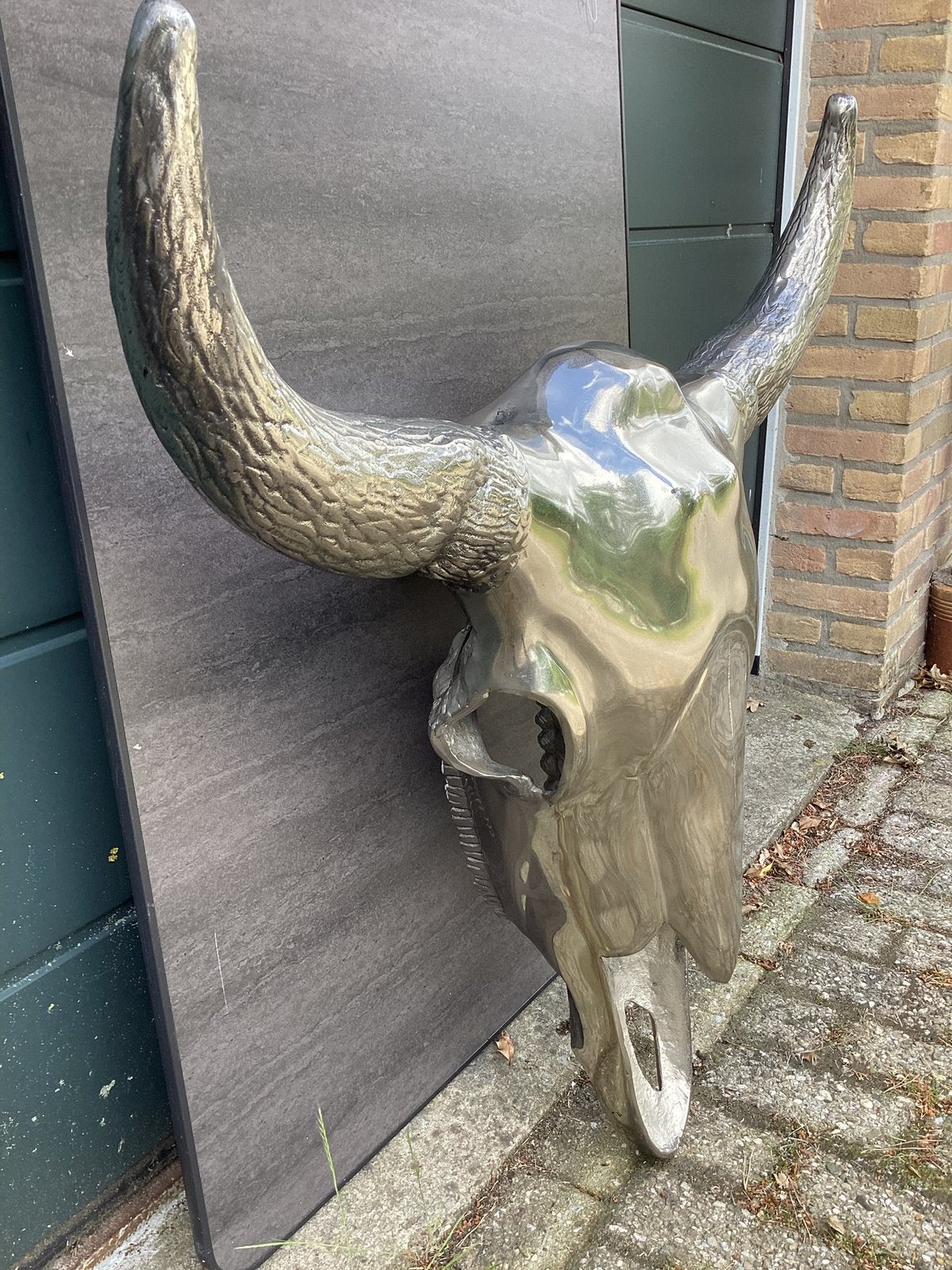 Prachtige grote Waterbuffel schedel, Skull. Sculptuur., Ophalen, Metaal, Wandsculptuur, Zilver