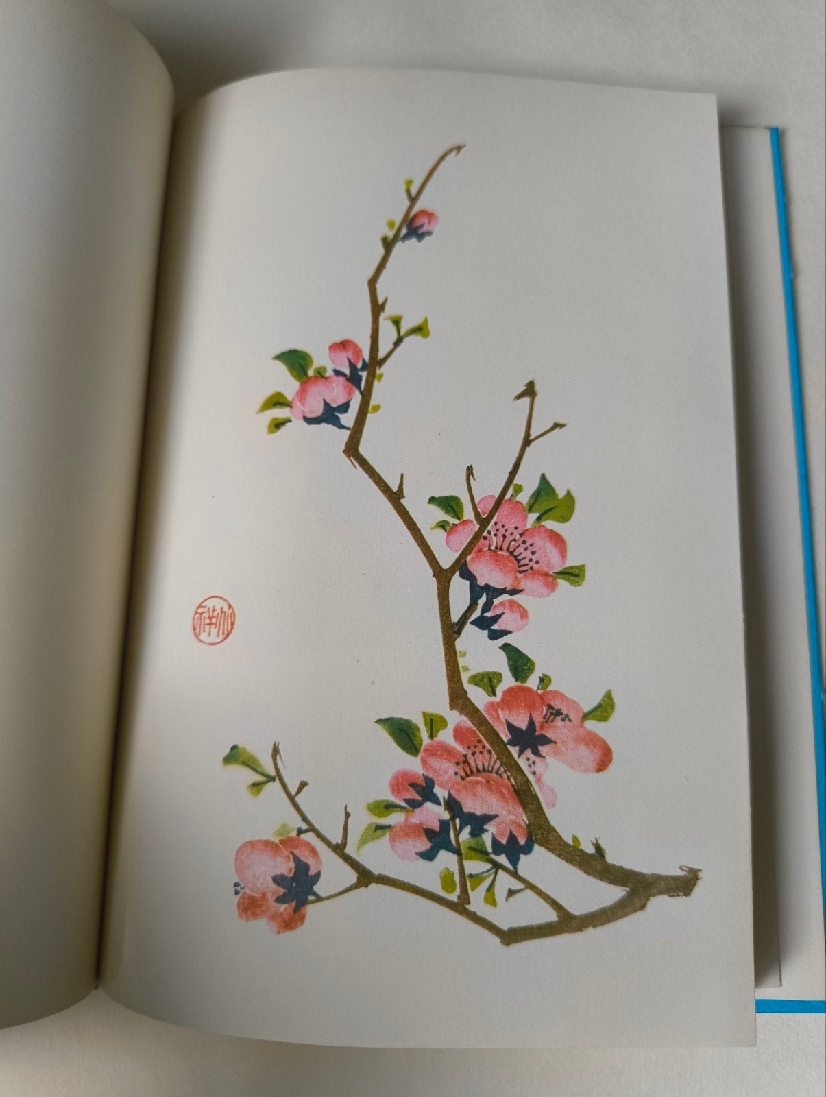 12 prachtige Chinese bloemen-afbeeldingen in een Duits boekj, Ophalen of Verzenden, Gelezen