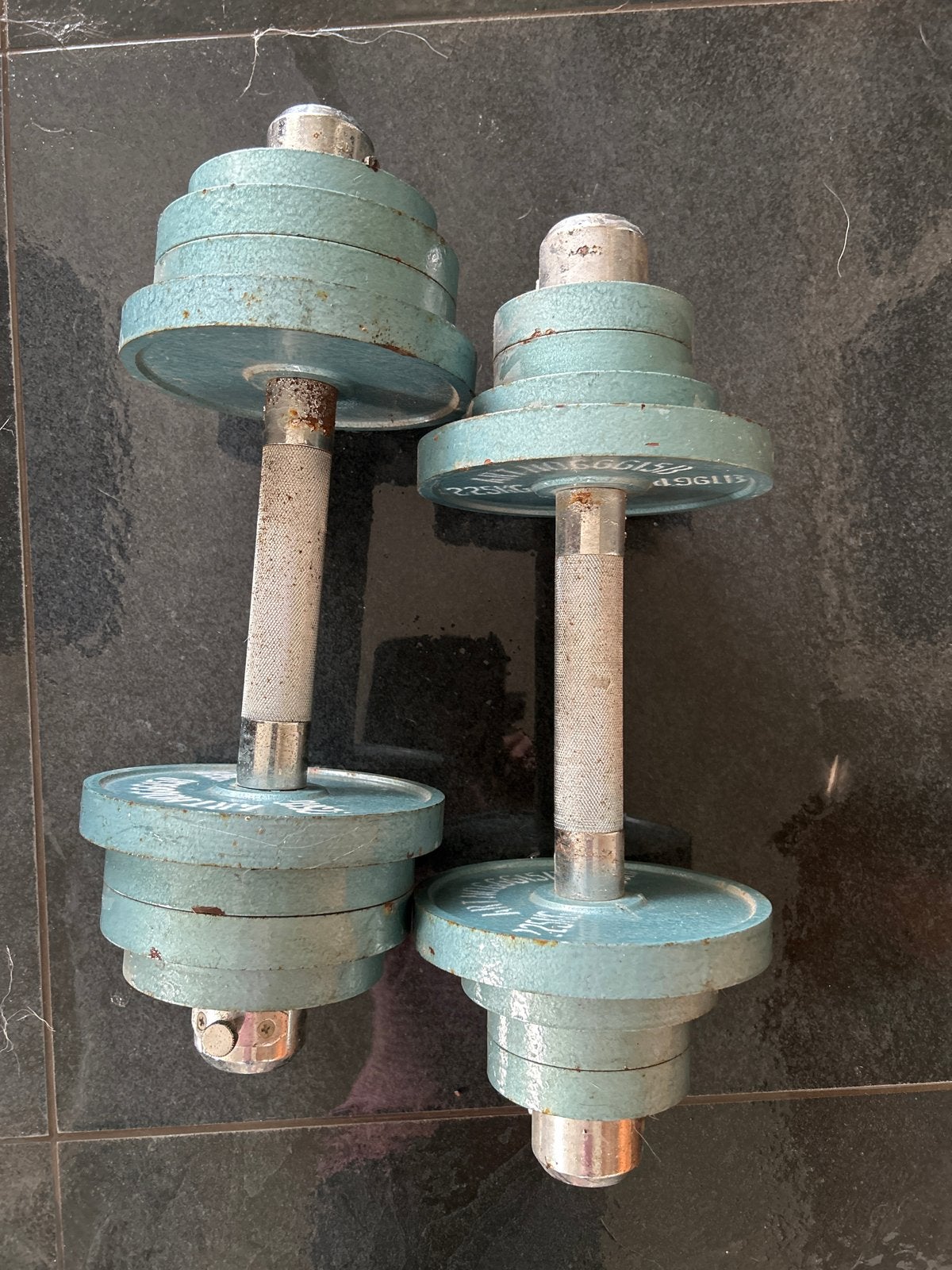 Verstelbare gietijzeren dumbells met blauwe halterschijven, Ophalen, Gebruikt, Armen, Halterset
