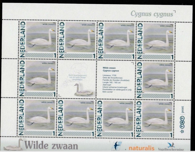 Vogels in Nederland Vel Wilde zwaan, Ophalen of Verzenden, Postfris