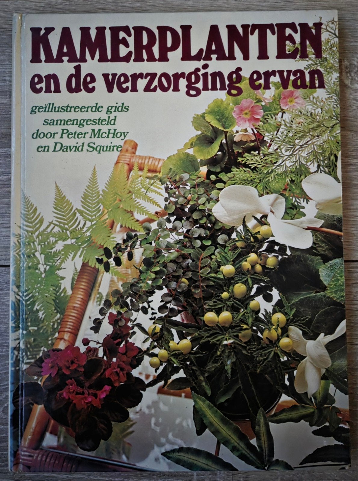 Peter McHoy - Kamerplanten en de verzorging ervan, Peter McHoy, Ophalen of Verzenden, Zo goed als nieuw, Kamerplanten
