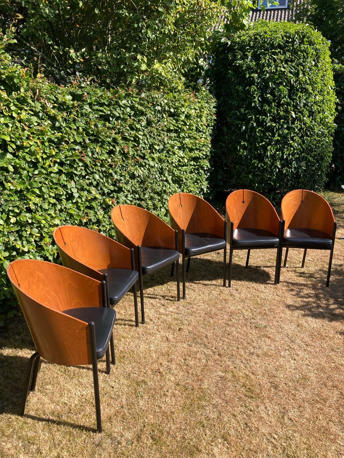 6 Designstoelen Philippe Starck stijl - Driade Costes, Ophalen, Gebruikt, Overige kleuren, Vijf, Zes of meer stoelen