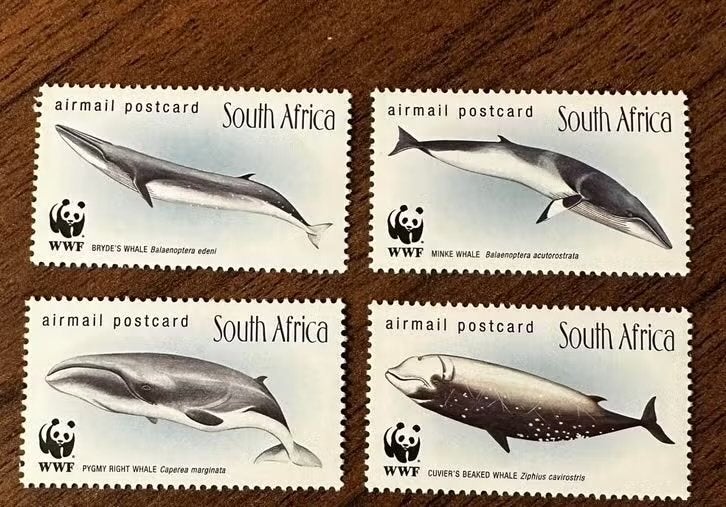 Zuid-Afrika 1998 WWF Walvissen Postfris, Ophalen of Verzenden, Zuid-Afrika, Postfris
