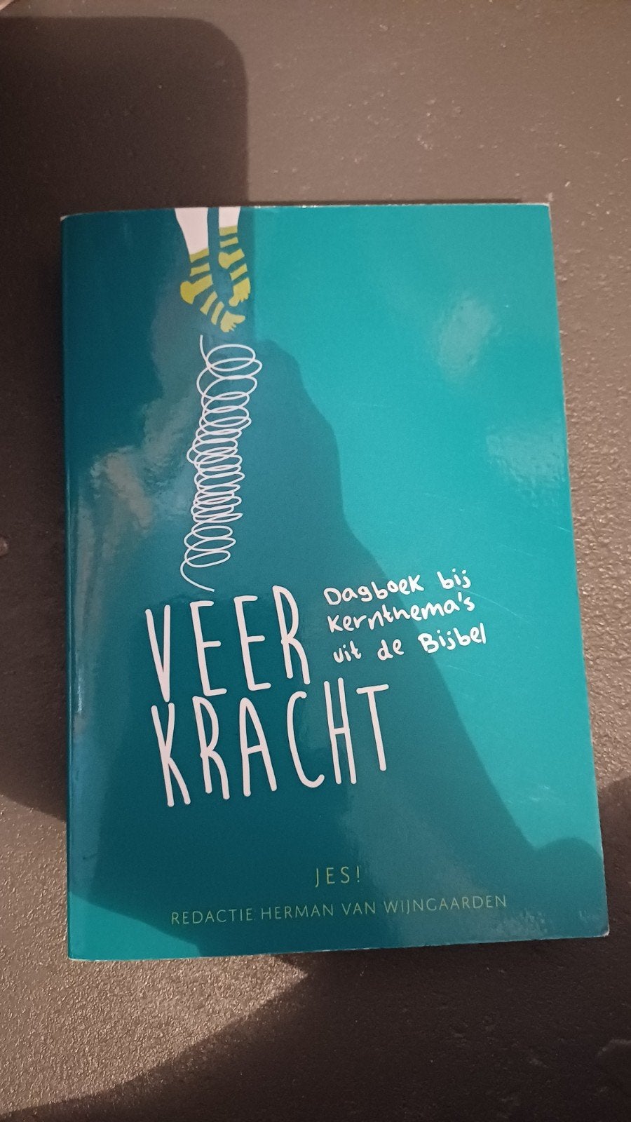 Veerkracht: Dagboek bij kernthema's uit de Bijbel, Ophalen of Verzenden, Zo goed als nieuw, Herman van Wijngaarden (redactie)