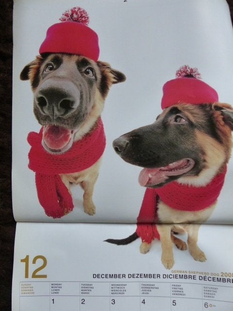 Duitse herder kalender 2008 German shepherd dog, Diversen, Ophalen of Verzenden, Maandkalender, Zo goed als nieuw