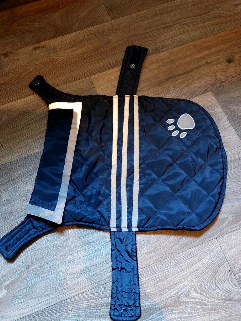 Hondenjas ( blauw ) en trui ( zwart ), Ophalen of Verzenden, Hondentrui