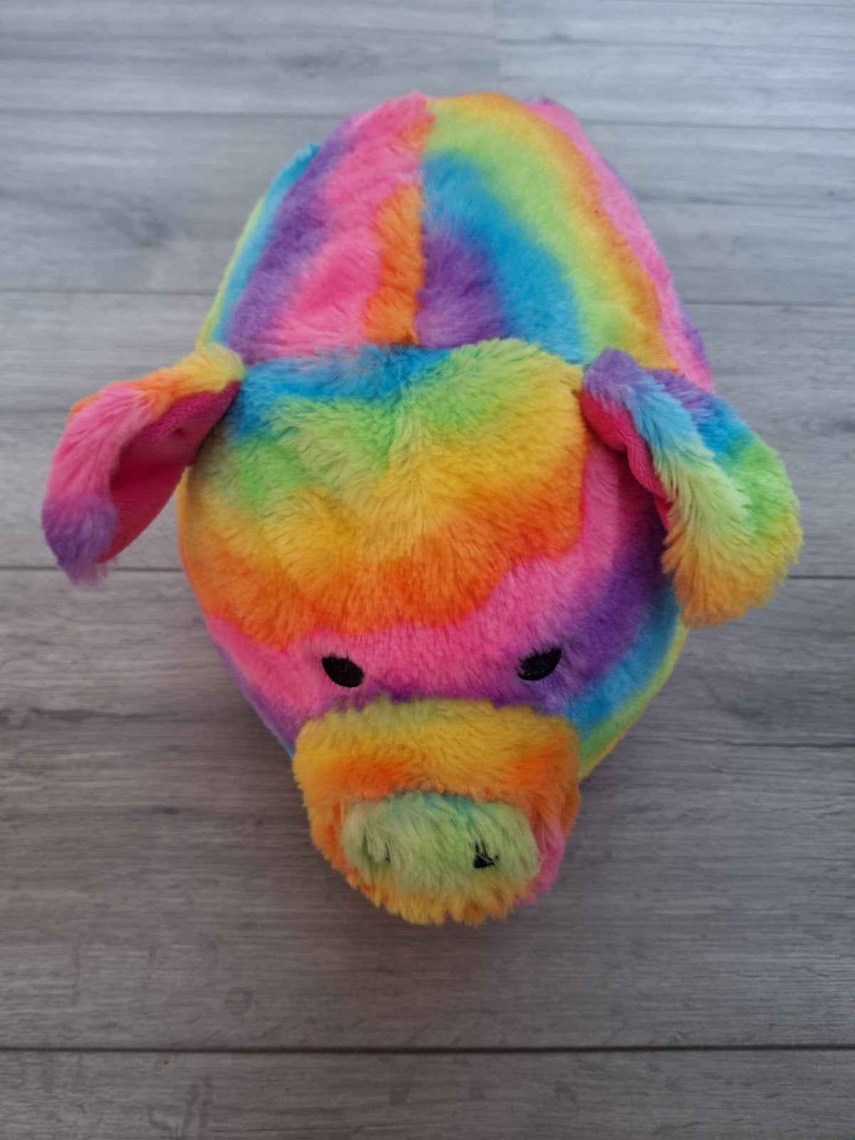 Funky Piggy Family regenboog varken knuffel, Kinderen en Baby's, Overige merken, Overige karakters, Overige typen, Ophalen of Verzenden