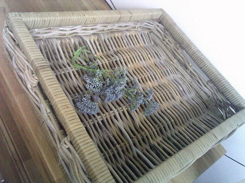 Rechthoekig sterk gevlochten rotan dienblad, Gebruikt, Gevlochten, Natuurlijk materiaal, Ophalen of Verzenden