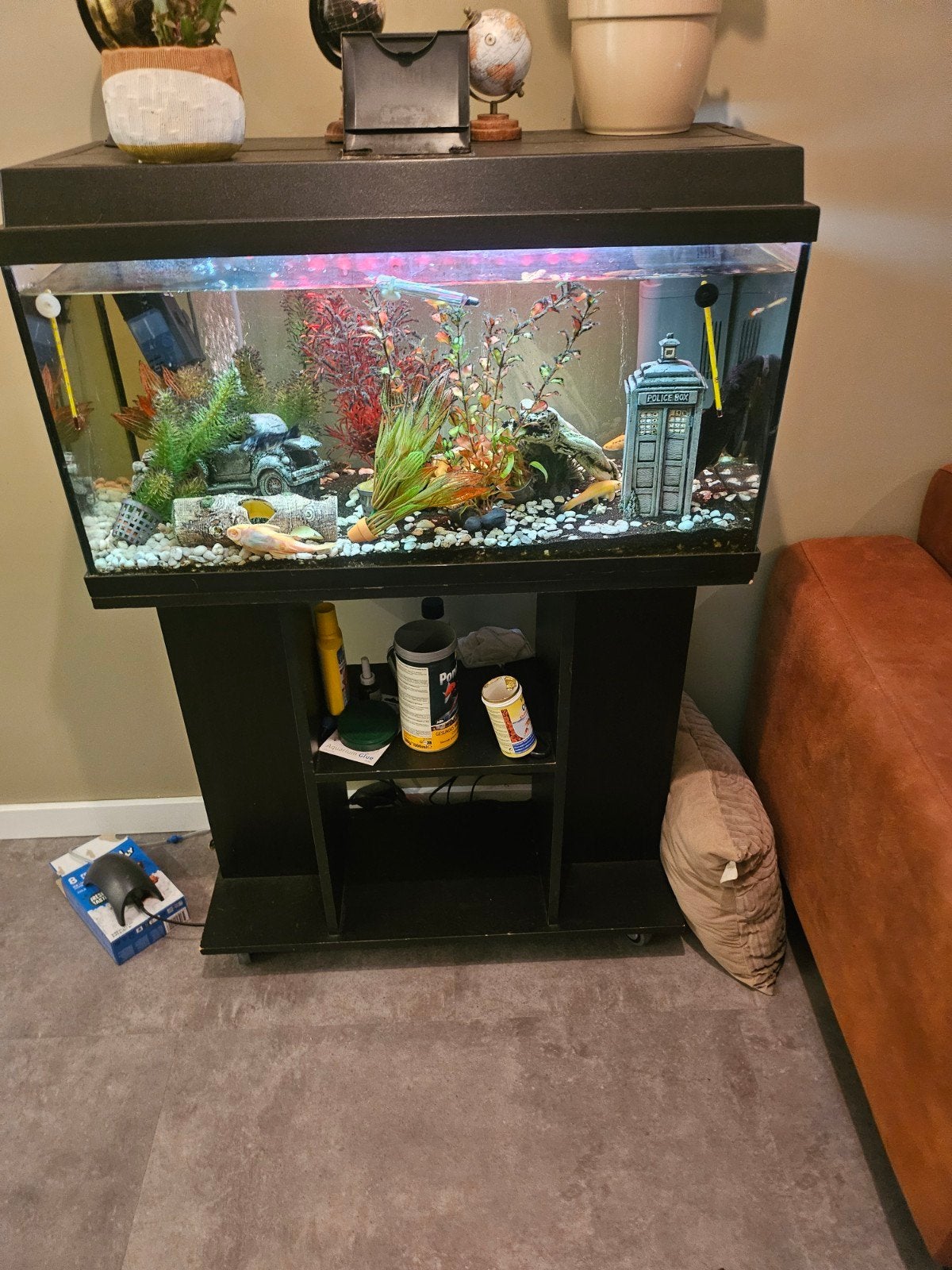 mooi groot aquarium 120 liter aquarium, Ophalen, Inclusief vissen, Gebruikt, Gevuld zoetwateraquarium
