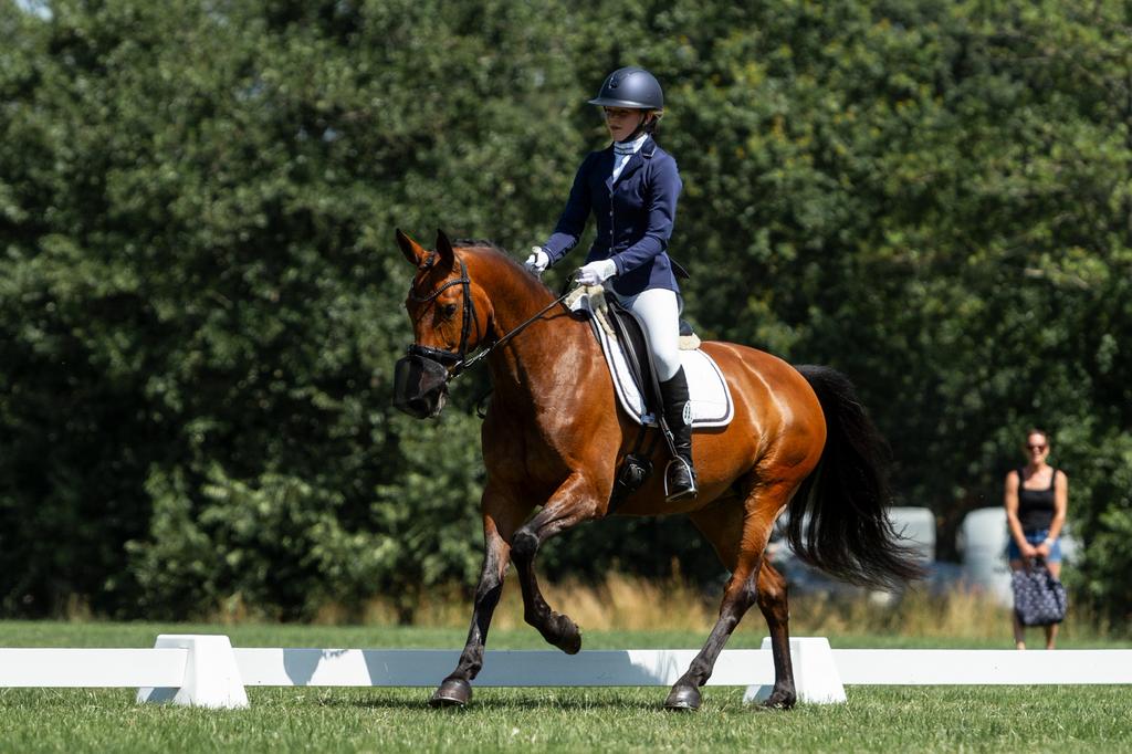 Te koop: 13 jarige E-pony merrie, Dieren en Toebehoren, Paarden, Minder dan 160 cm, M, Dressuurpaard, 11 jaar of ouder