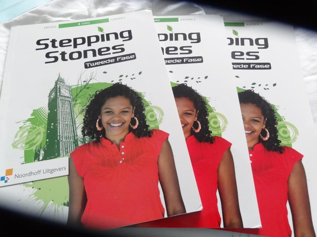 werkboeken 4 VWO Management en stepping stones, Ophalen of Verzenden, Zo goed als nieuw, VWO, Engels
