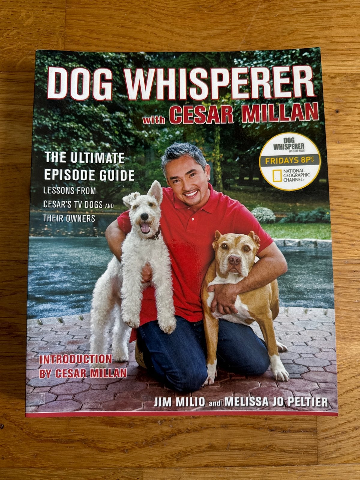 Dog Whisperer met Cesar Millan - De Ultieme Gids, Ophalen of Verzenden, Nieuw, Honden