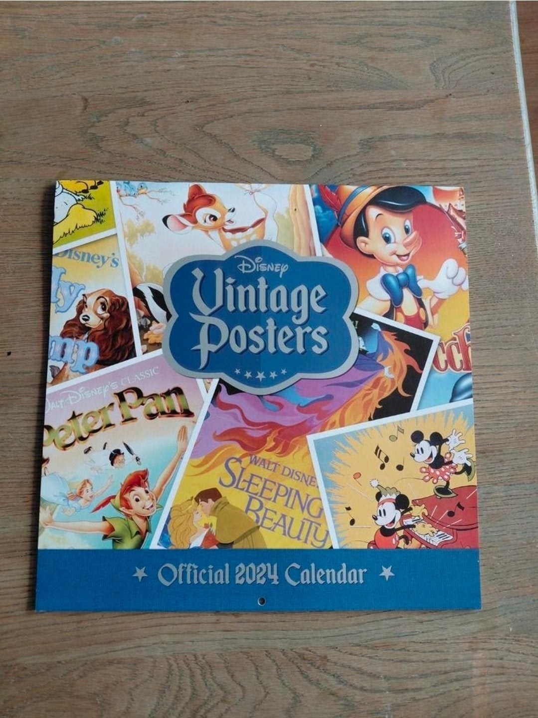 Disney Vintage Posters Kalender 2024. Ongebruikt., Ophalen of Verzenden, Nieuw, Plaatje of Poster