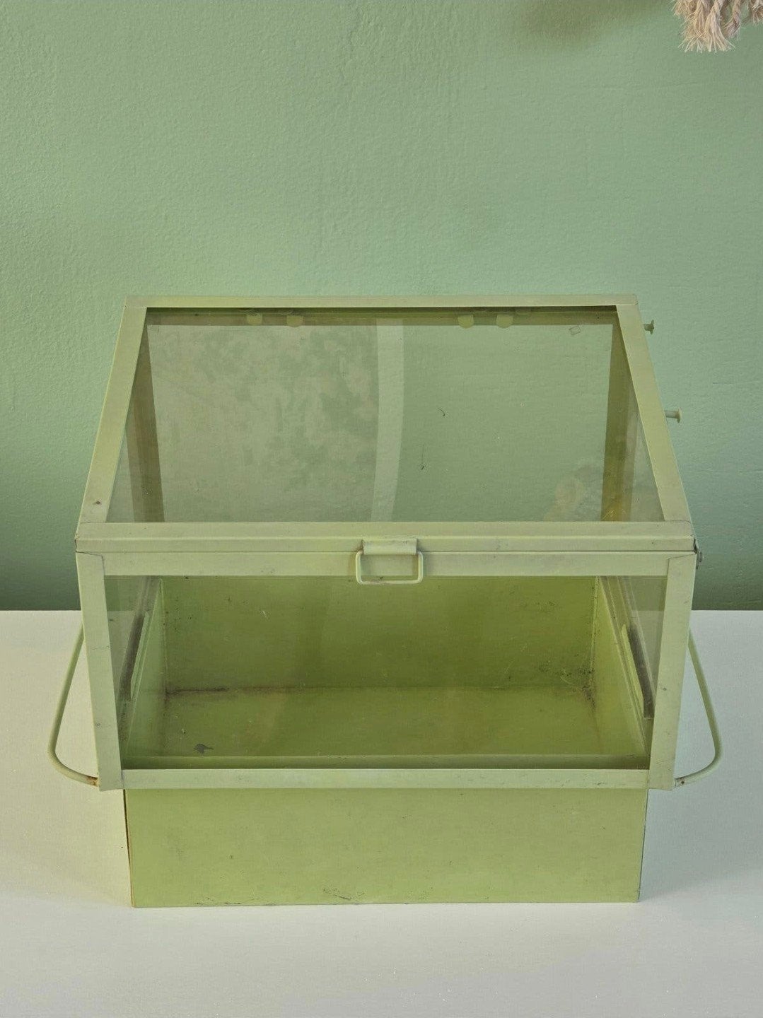 kweekkast 25x30, Ophalen of Verzenden, Gebruikt, Kweekkast