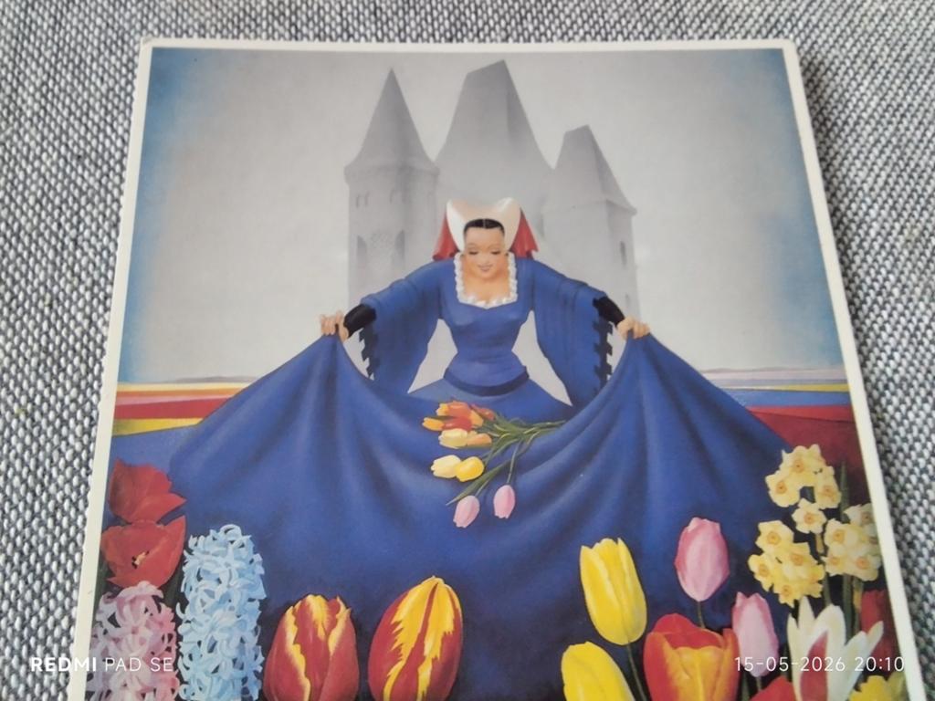 Vintage Holland America Lijn 'Special Tulip Sailing' ANSICHT, Ophalen of Verzenden