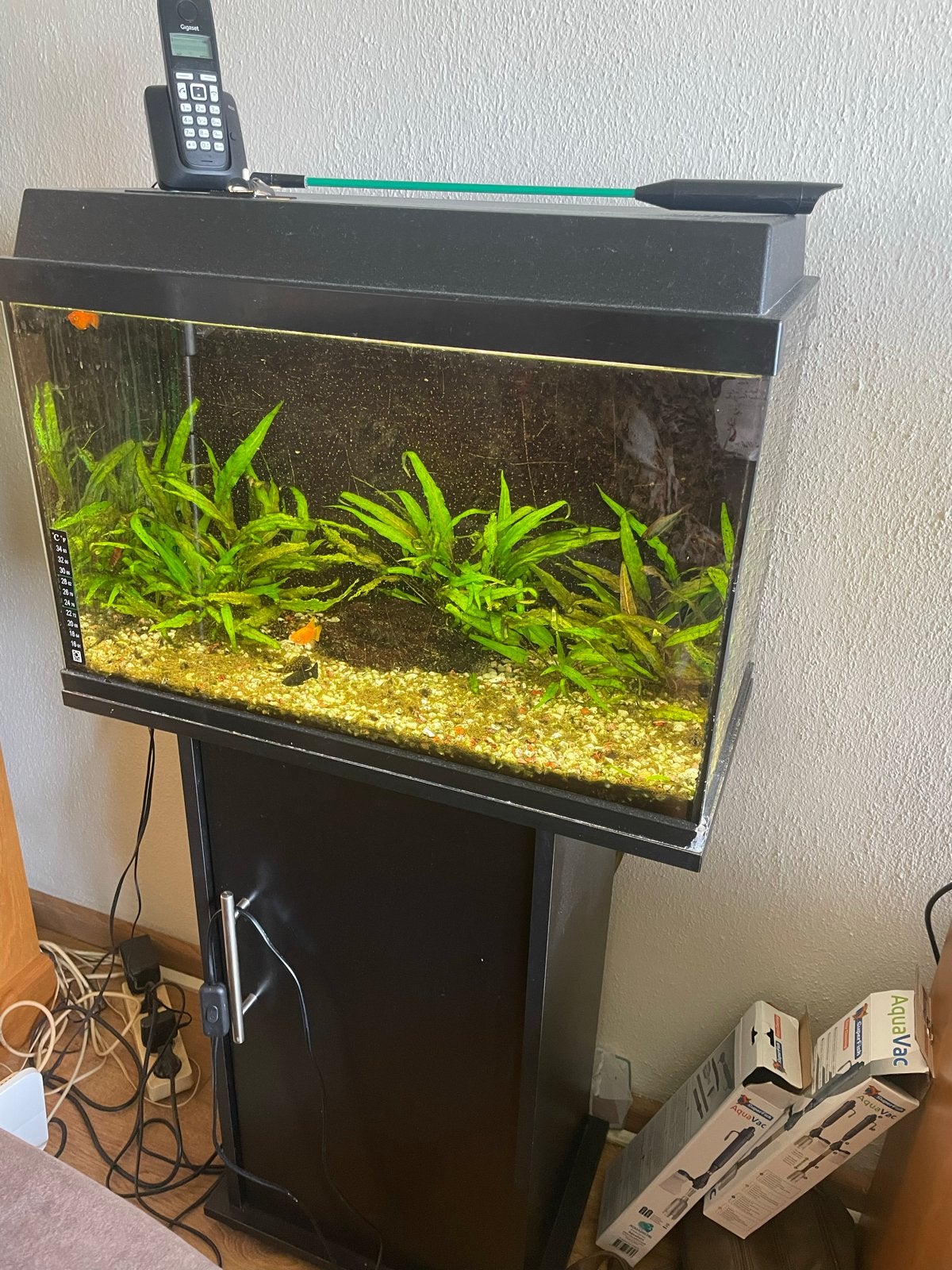 Aquarium 40x60x30, Dieren en Toebehoren, Ophalen, Leeg aquarium