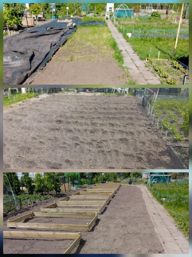 Tuinman/hovenier/tuinhulp gezocht/aangeboden, Diensten en Vakmensen, Tuinmannen en Stratenmakers, Garantie, Tuinonderhoud of Snoeiwerk