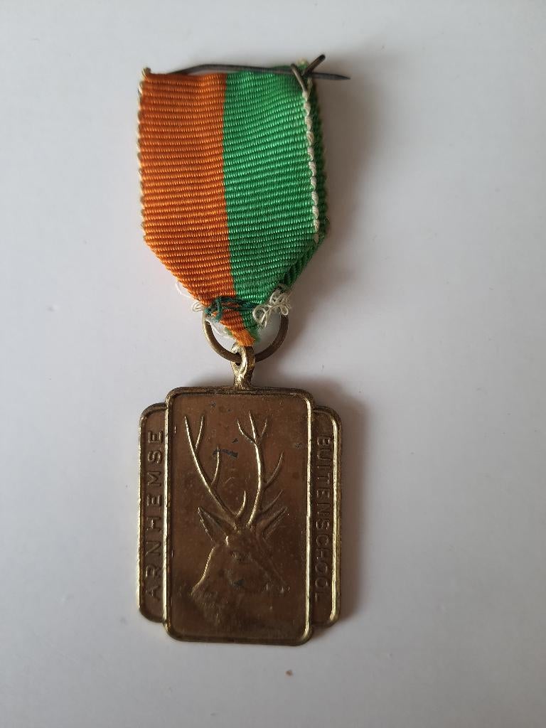 Wandelmedaille Arnhem, Postzegels en Munten, Penningen en Medailles, Ophalen of Verzenden, Overige materialen, Nederland