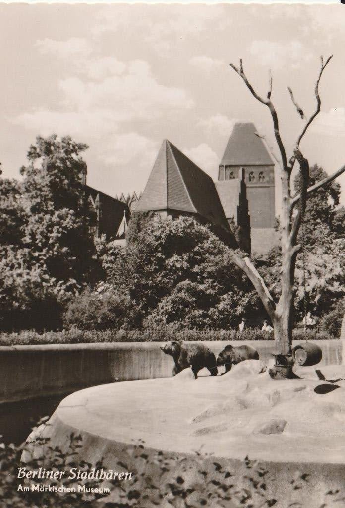 Dierentuin    Berlijn, Ophalen of Verzenden, 1940 tot 1960, Ongelopen, Wild dier
