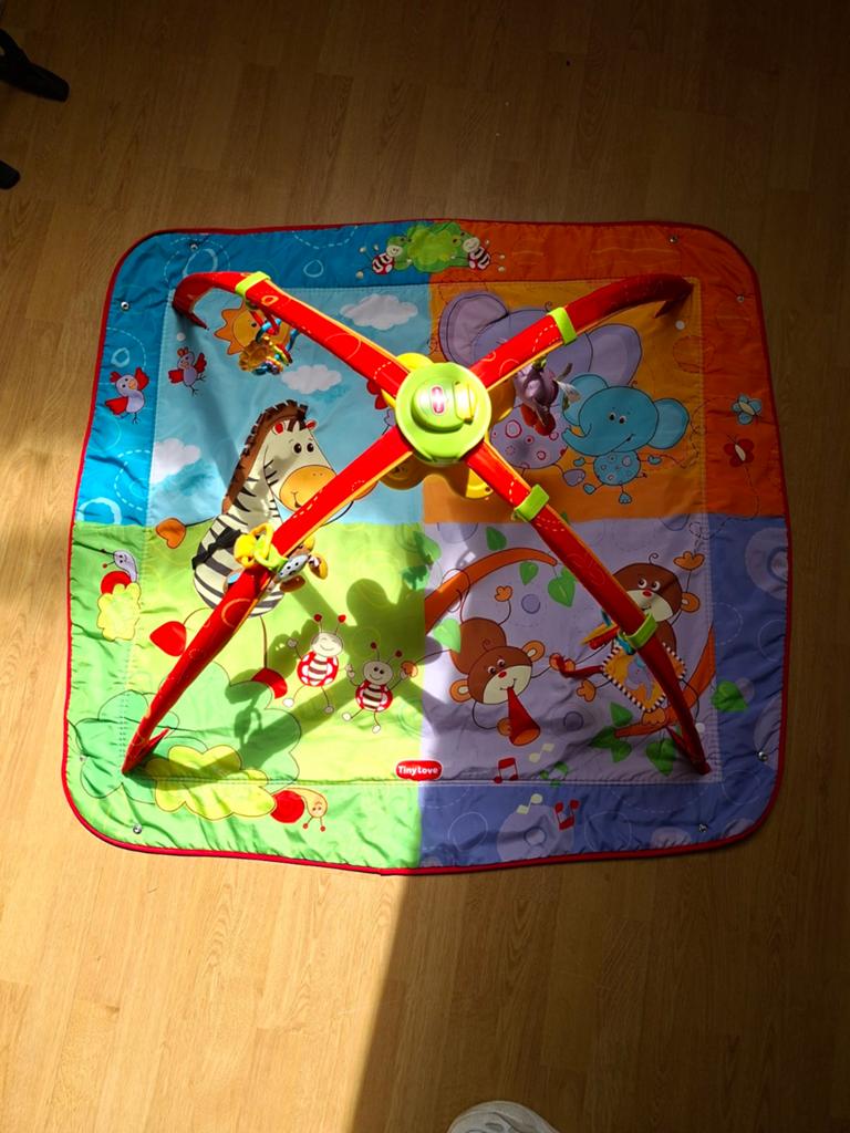 Speelkleed Tiny Love., Ophalen, Zo goed als nieuw