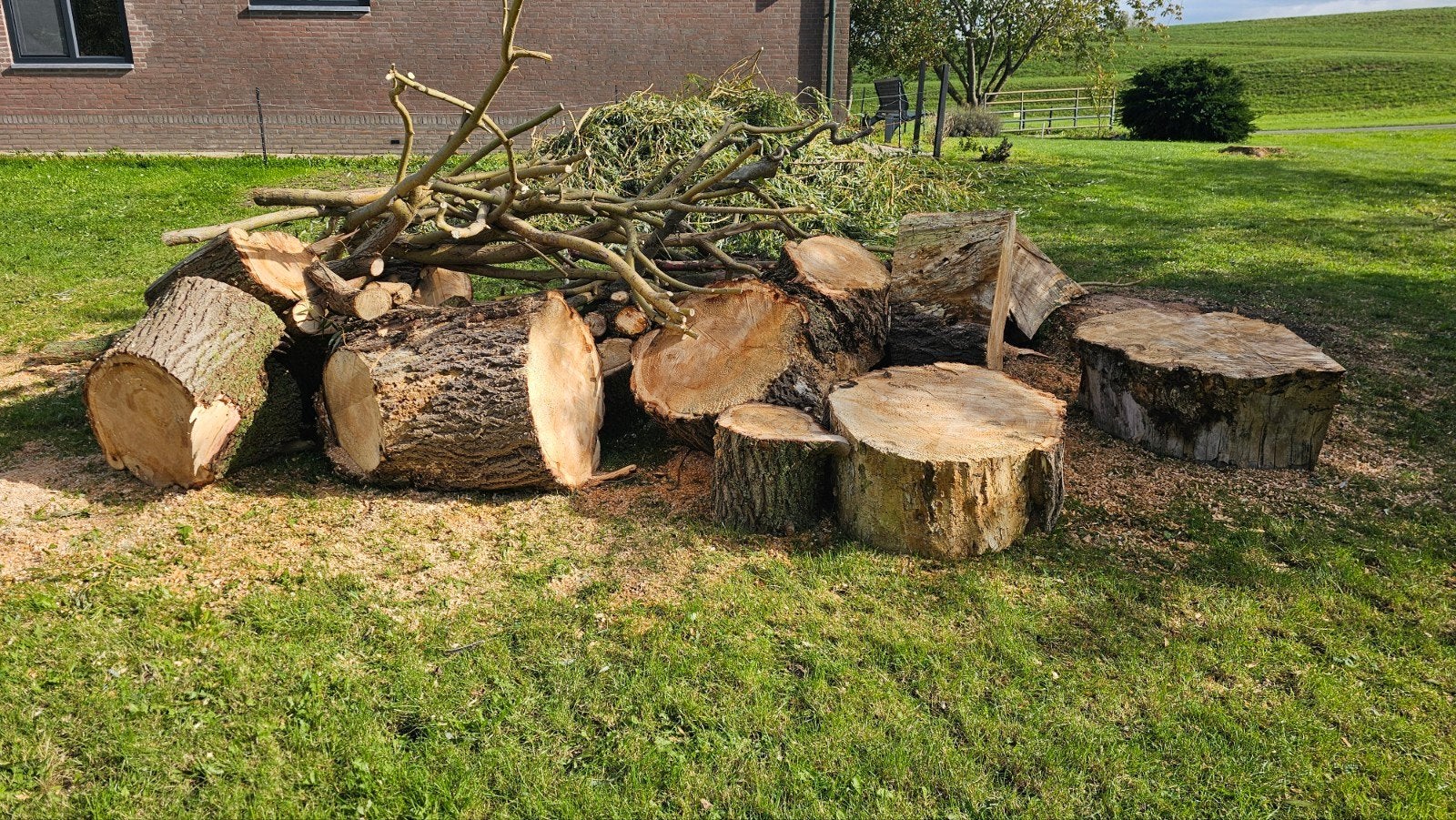 stookhout kachelhout boomstammen, 6 m³ of meer, Ophalen, Overige houtsoorten, Stammen