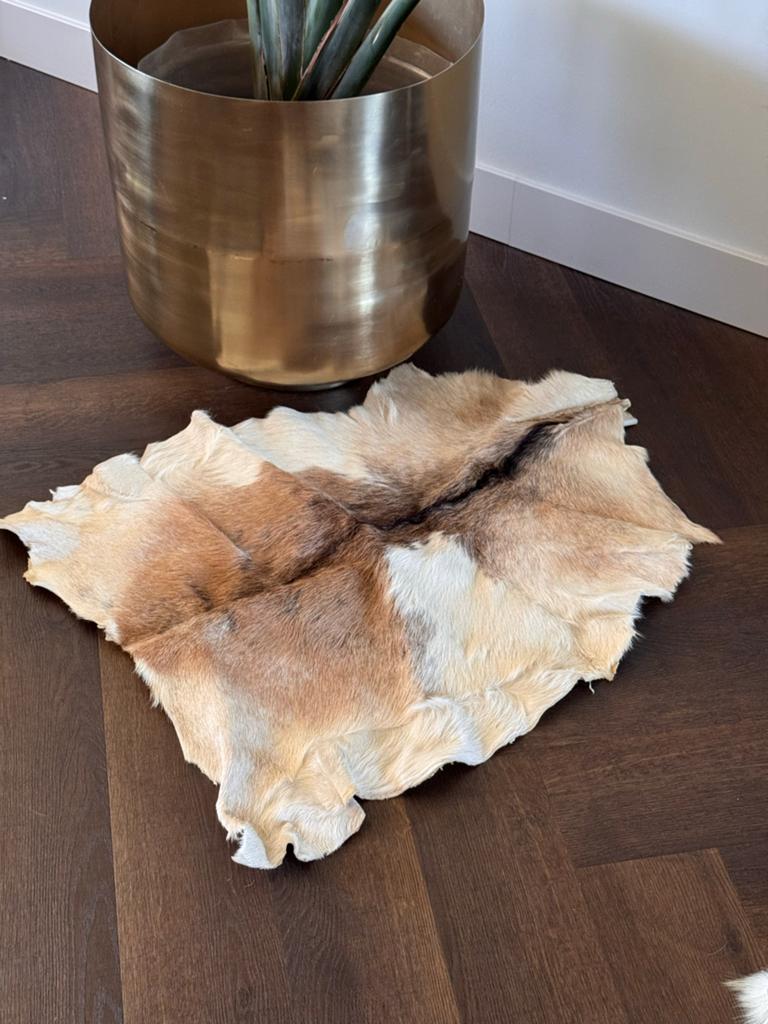 2 echte geitenvellen - decoratief en uniek, Gebruikt, Wit, Overige vormen, 50 tot 100 cm