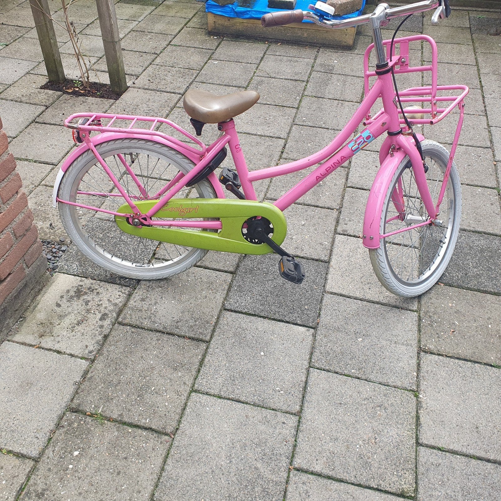 Alpina roze meisjesfiets 20 inch, Ophalen, Gebruikt, ........., ........