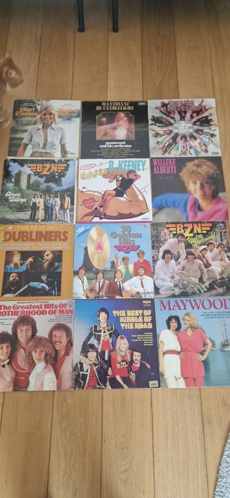 Grote collectie diverse LP's - Pop, Folk, Klassiek, Gebruikt, Ophalen of Verzenden, 12 inch, Overige typen