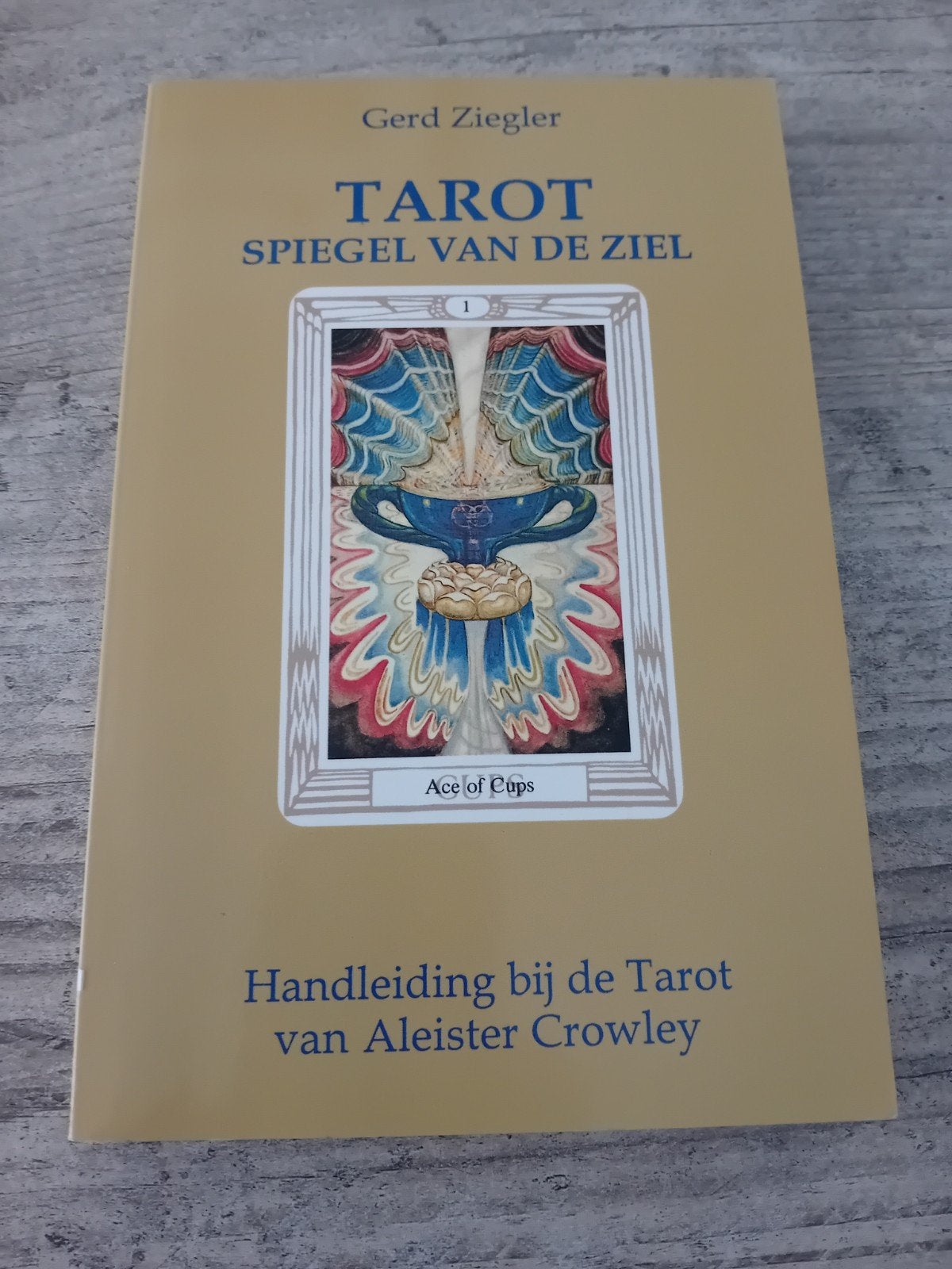 Tarot Spiegel van de Ziel - Handleiding Aleister Crowley, Boeken, Ophalen of Verzenden