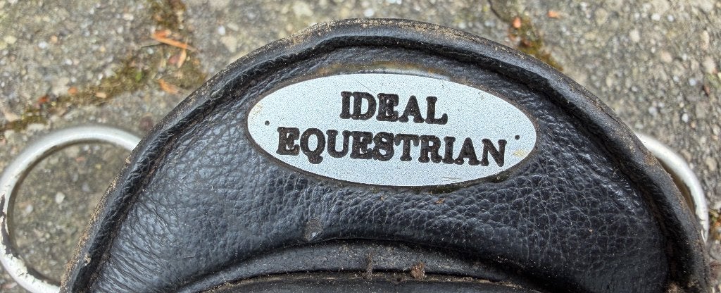 Ideal marathontuig voor een pony, Dieren en Toebehoren, Gebruikt, Overige disciplines, Mentuig, Pony