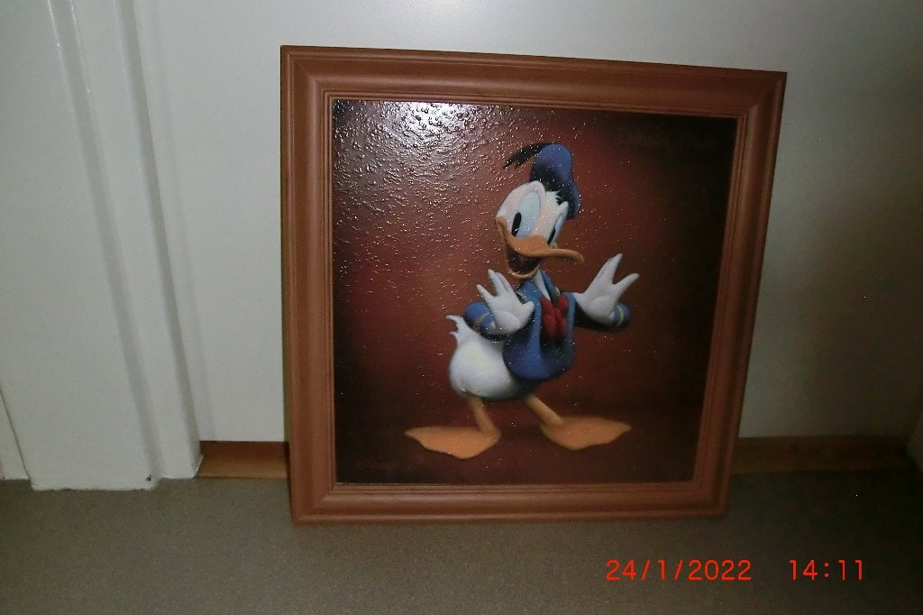Schilderij Donald Duck, Huis en Inrichting, Ophalen, Minder dan 50 cm, Zo goed als nieuw, Schilderij