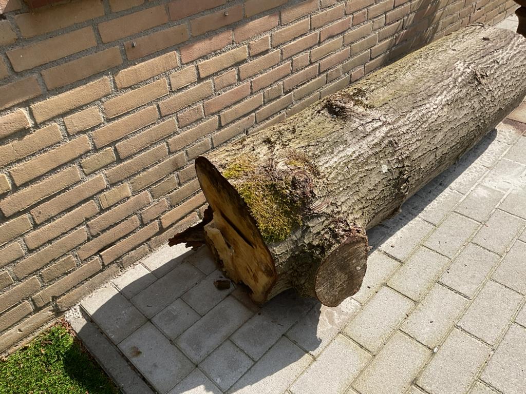 Eiken boomstam, Ophalen, Overige typen, Zo goed als nieuw, Hardhout