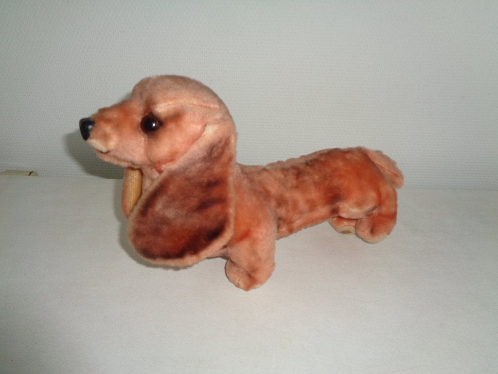 Oude hond Teckel.35 cm., Ophalen of Verzenden