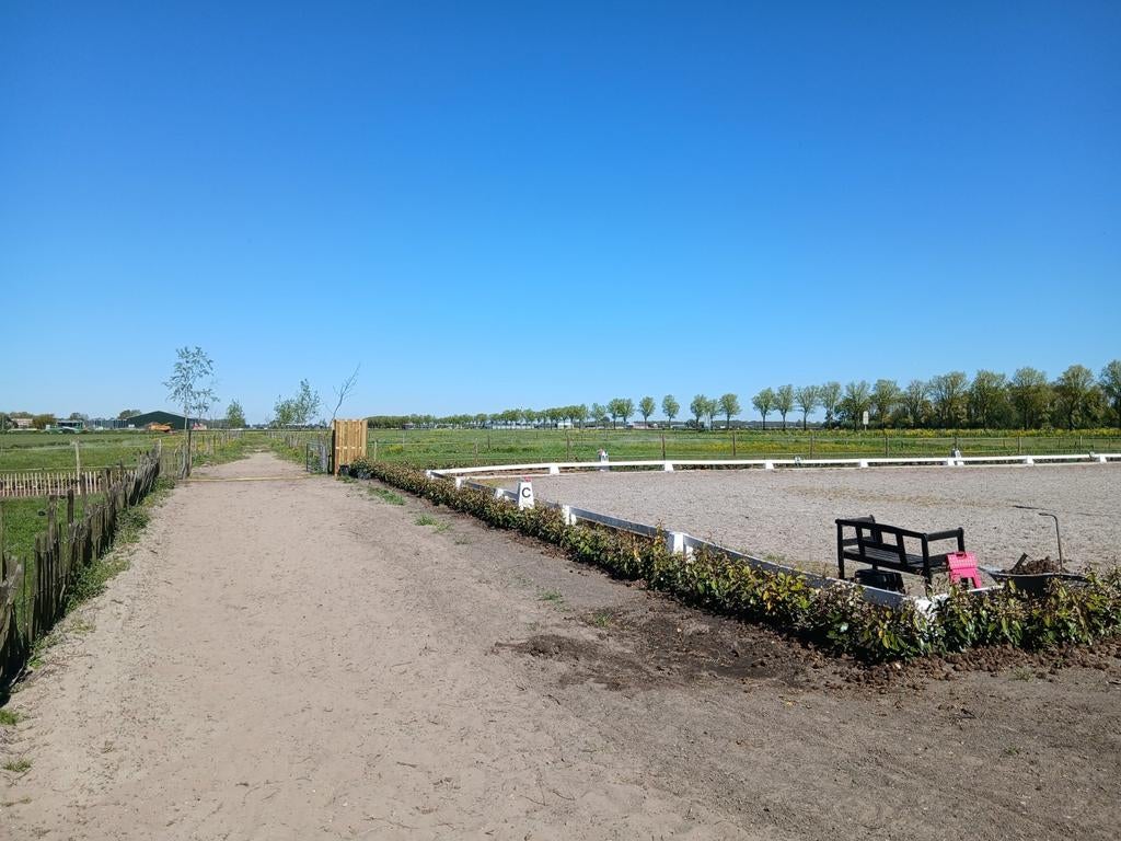 Zomerweide beschikbaar voor pony/paarden, Weidegang