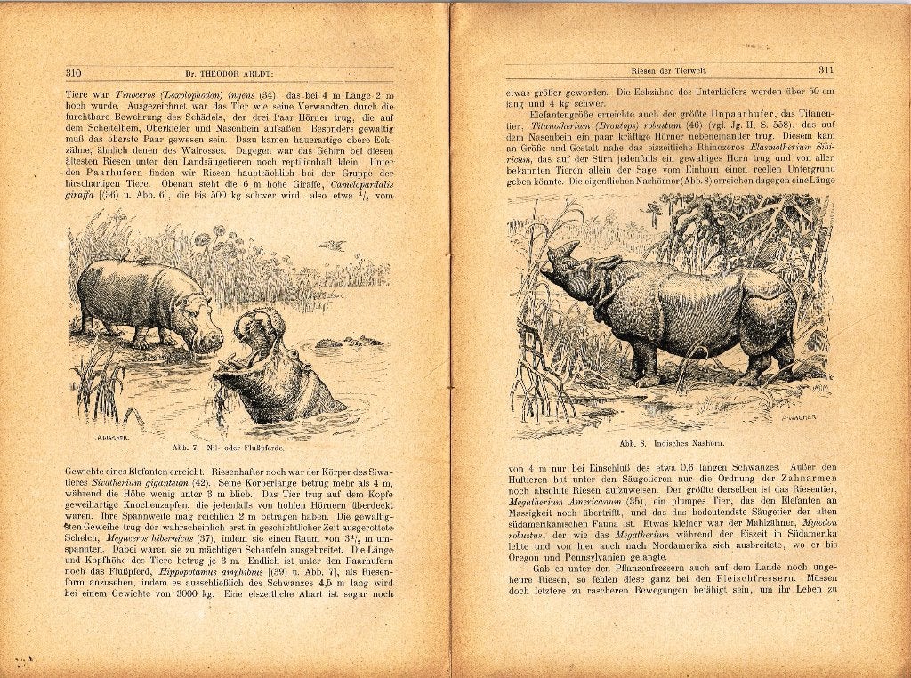 "Aus der Natur":Tijdschr. voor natuurvrienden, deel 10, 1907, Ophalen of Verzenden, Voor 1920, Buitenland, Tijdschrift