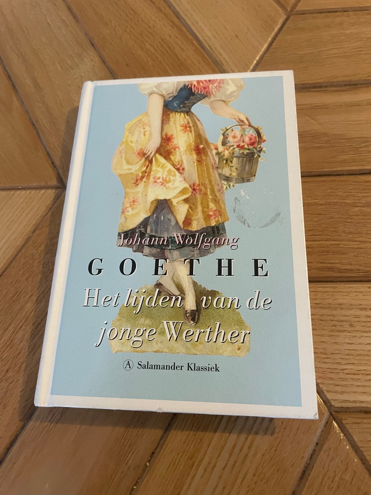 Het lijden van de jonge Werther - Goethe (Salamander Klassie, Boeken, Ophalen of Verzenden, Gelezen, Nederland