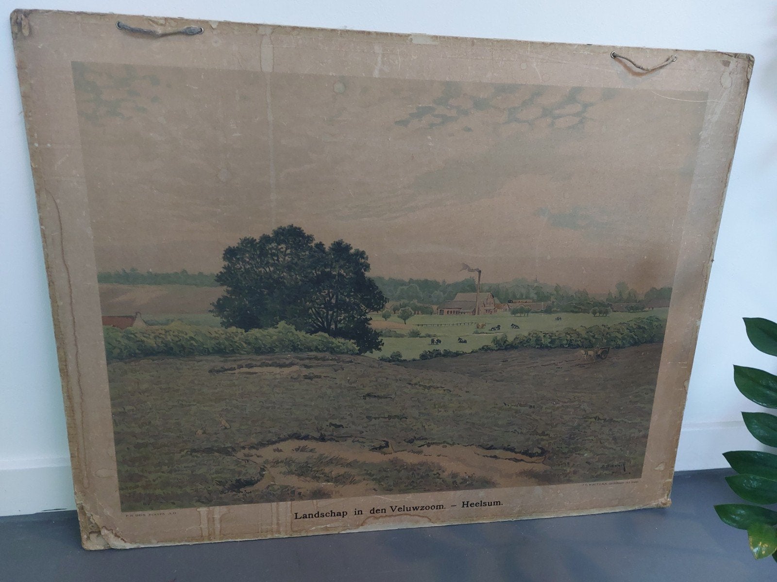 Schoolplaat: Landschap in de Veluwezoom - Heelsum, Ophalen, Natuur en Biologie