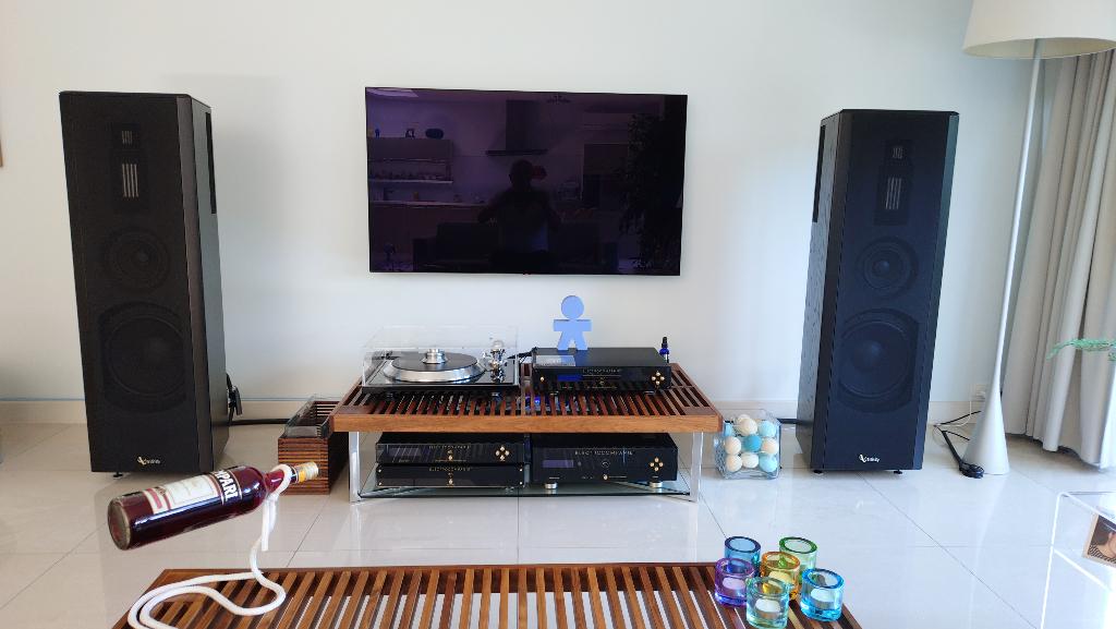 Infinity IRS Omega van Bayer Soundworks Text auch in Deutsch