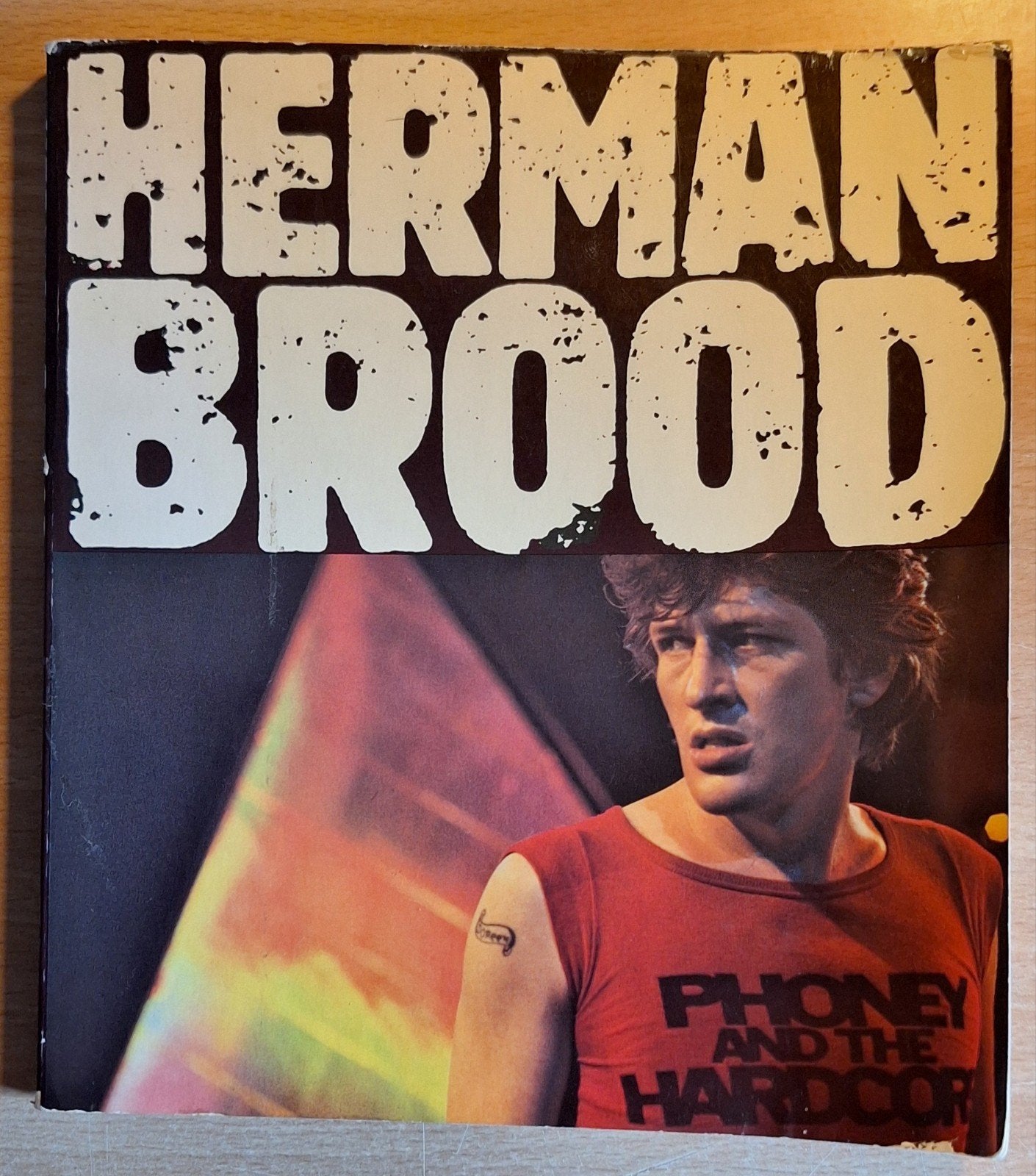 Herman Brood boek - De Gooise Uitgeverij - Theo Stokkink, Ophalen of Verzenden, Zo goed als nieuw, Nederland, Theo Stokkink