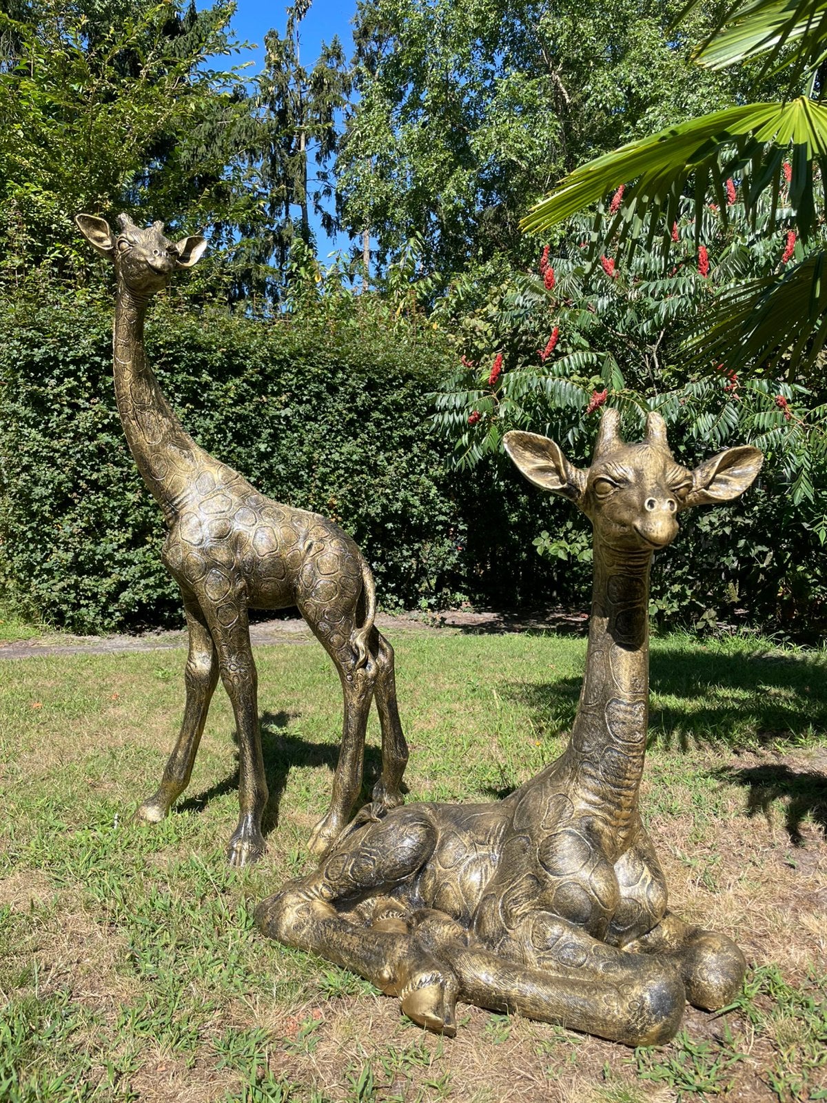 Giraf goud giraffe staand en zittend beeld tuin terras, Ophalen, Nieuw, Kunststof