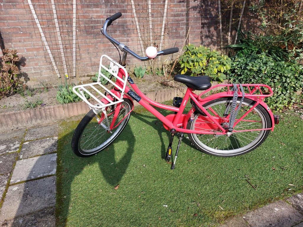 Meisjesfiets 22 inch - Roze met voordrager, Ophalen, 22 inch, Gebruikt, Onbekend