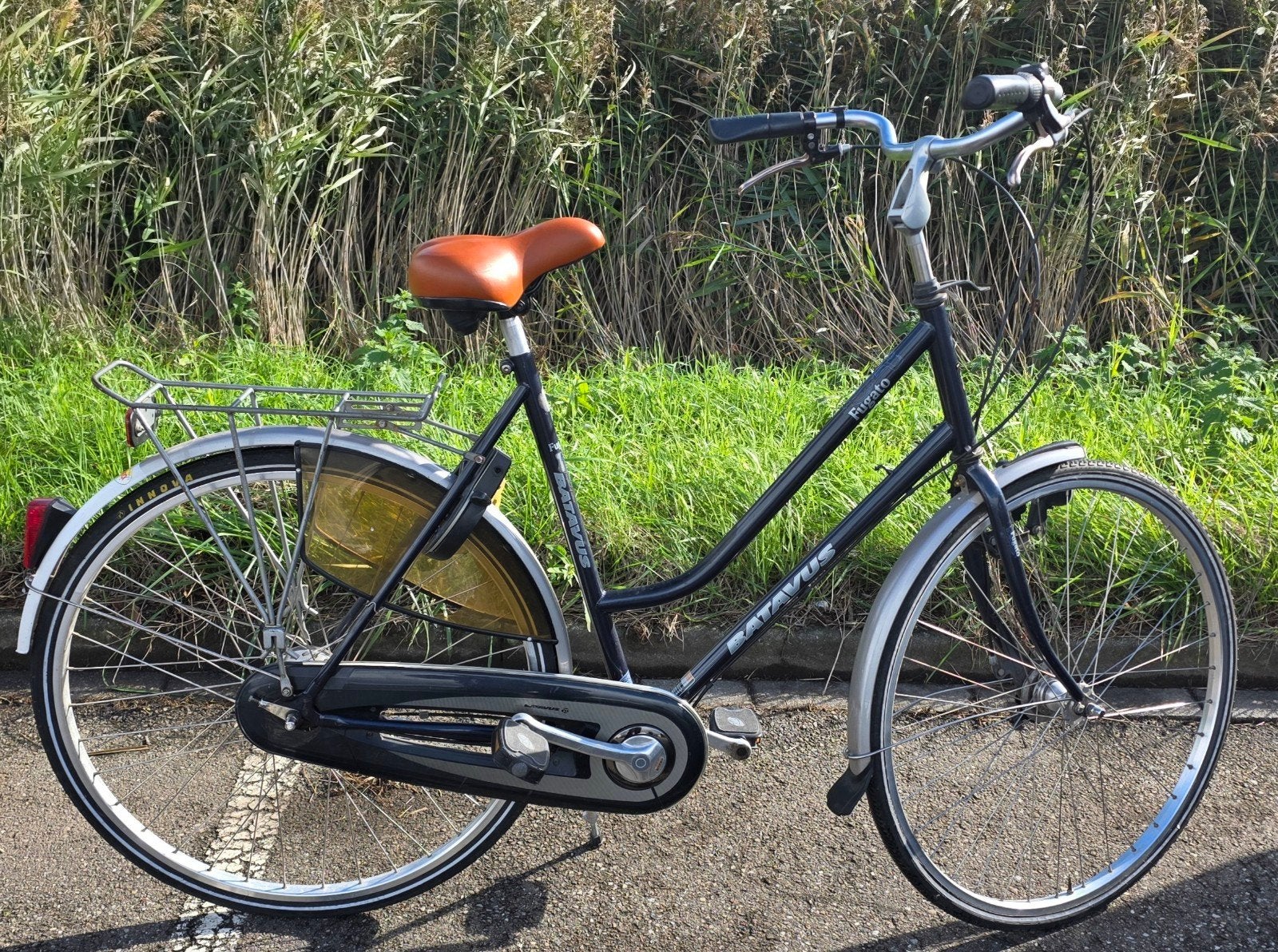 batavus dames fiets, Ophalen, Versnellingen, Batavus, Trommelrem
