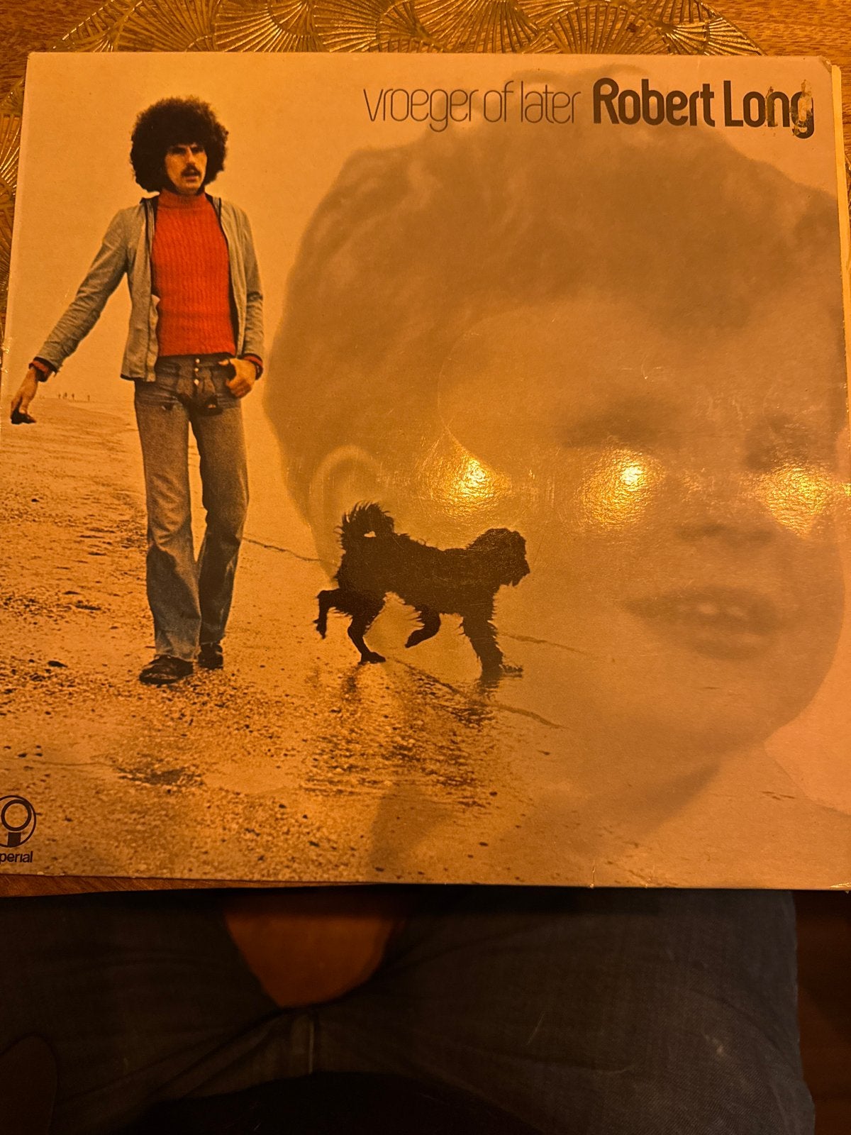 Robert Long - Vroeger of Later LP (1974), LP, Gebruikt, Originele persing, Ophalen of Verzenden