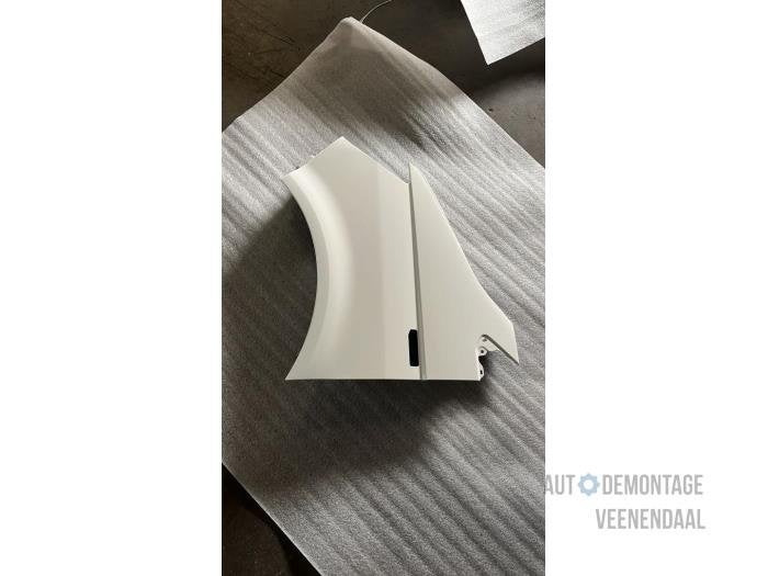 Scherm links-voor van een Volkswagen Transporter (LB9A), -, Volkswagen, -, Nieuw
