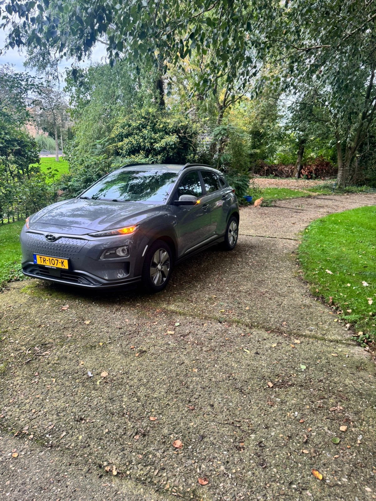 Hyundai Kona 64 KW/H | Recent APK/Onderhoud, Zwart, Lichtsensor, Elektrisch, 630 min